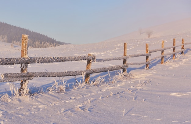 Таинственный зимний пейзаж величественных гор зимой. Волшебная зима заснеженного дерева. Фото поздравительная открытка. Карпатский. Украина