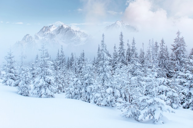 Таинственный зимний пейзаж величественных гор зимой.
