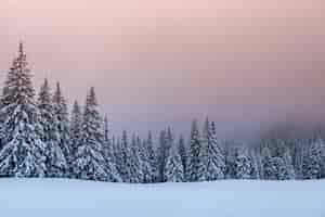 Free photo mysterious winter landscape, majestic mountains with snow covered tree.