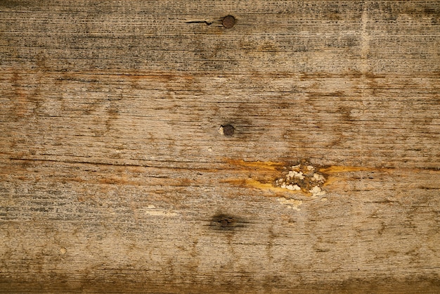 Nails on wood