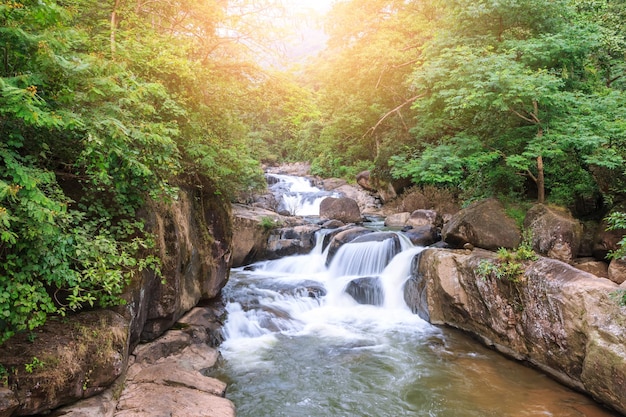 Nang Rong waterfall Khao Yai national park world heritage Thailand