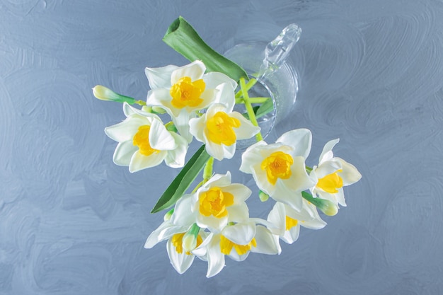 Narcissus in a glass jug, on the white table.