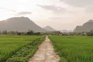 Free photo narrow pathway in a field on background of a village