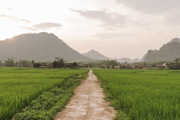 Narrow pathway in a field on background of a village