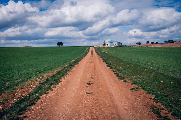 Foto gratuita sentiero stretto in un campo erboso verde sotto un cielo nuvoloso