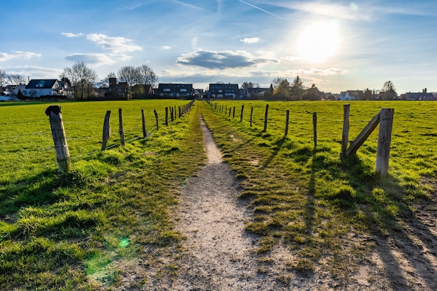 Narrow pathway in the middle of the grassy field under a blue sky
