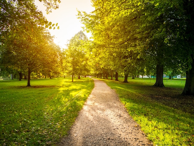 Narrow road in a green grassy field surrounded by green trees with the bright sun in the background