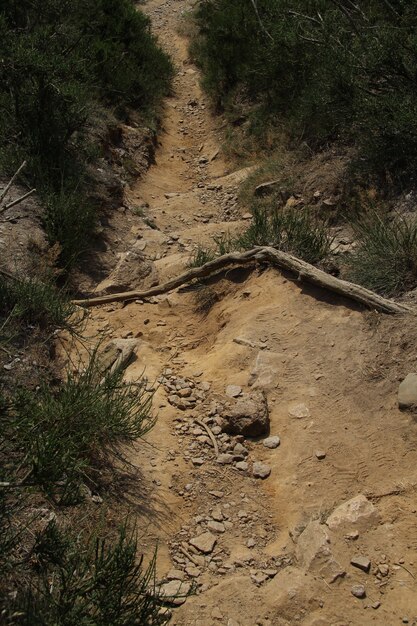 Narrow steep dirt path going down a hill