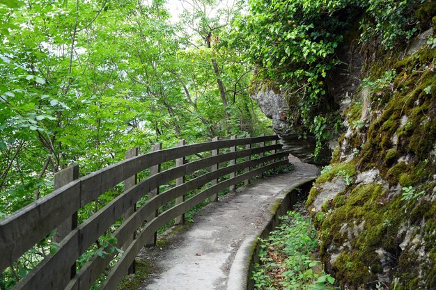 Narrow trail in a forested mountain with a wooden fence