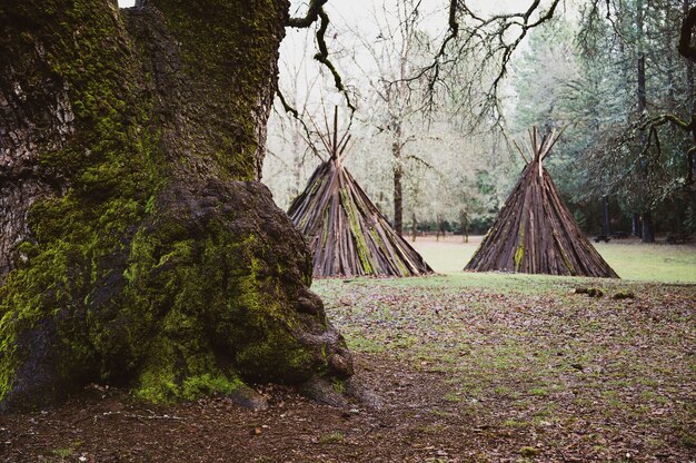 Native American traditional Me-Wuk ceremony lodging during daytime