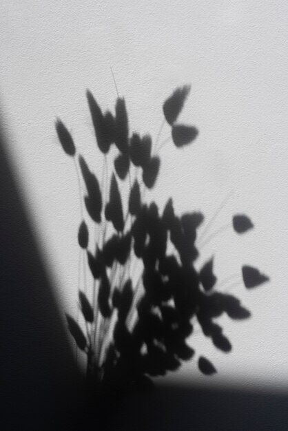 Natural and abstract shadow details