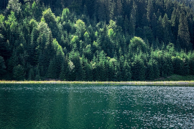 Natural background lake in the forest highlands