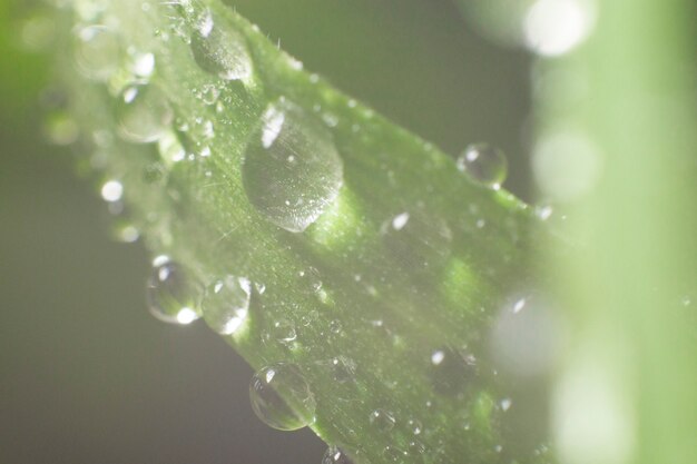 natural background with raindrops