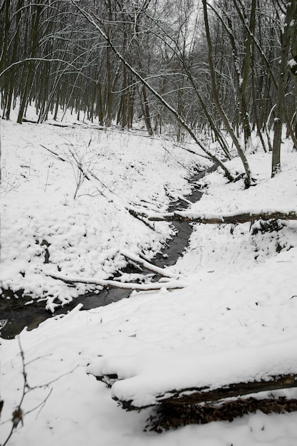 Natural beautiful landscape with small stream