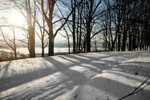 Foto gratuita bellissimo paesaggio invernale naturale