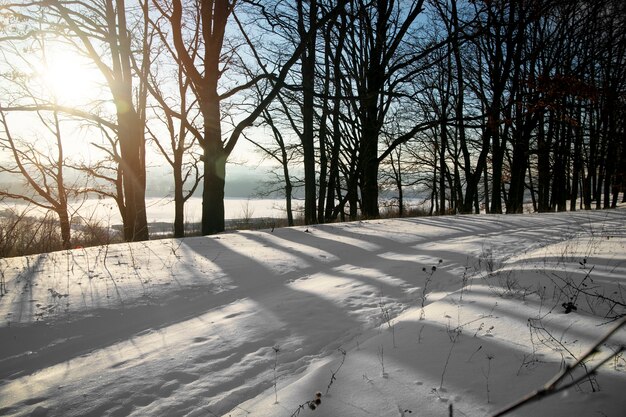 Natural beautiful winter landscape