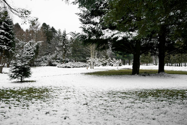 Bel paesaggio naturale invernale