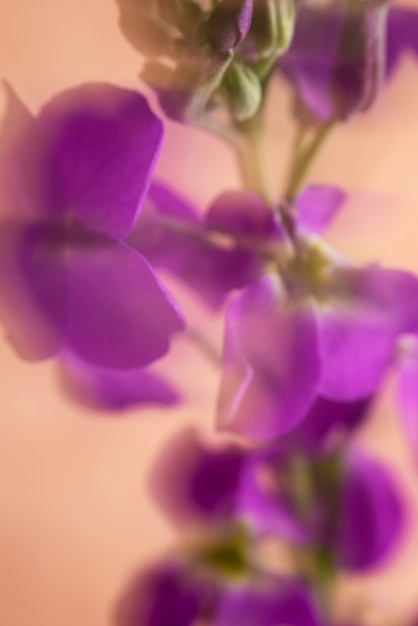 Natural blossom with blur effect