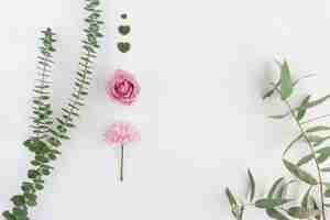 Free photo natural composition with two pink flowers and floral hearts