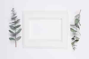 Free photo natural decoration with a frame