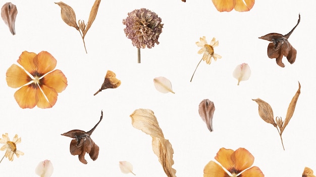 Natural dried flower wallpaper pattern