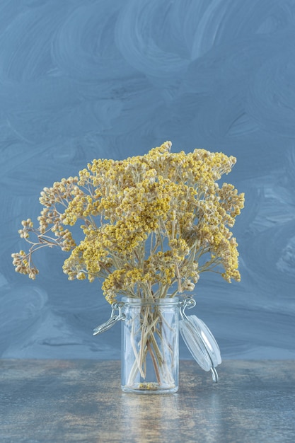 Natural dried yellow flowers in glass jar – Free Stock Photos