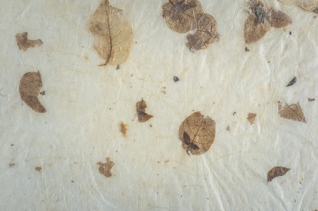 Natural dry leaves paper texture. handmade paper.