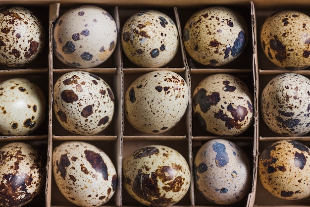 Natural eggs in cardboard
