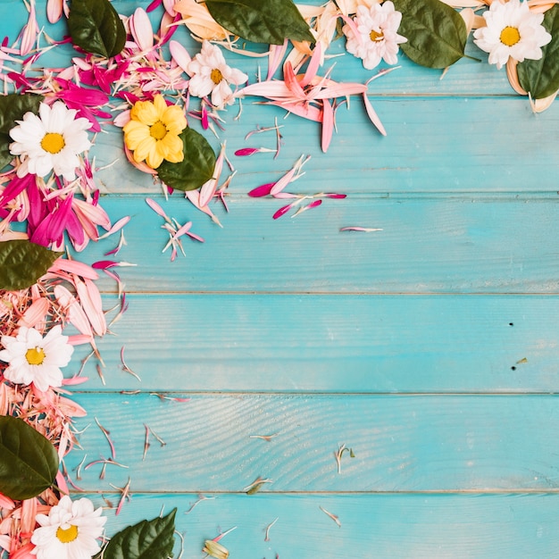 Free photo natural flowers background