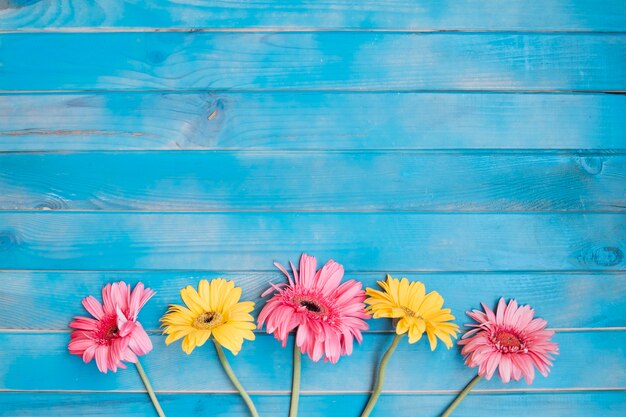 Natural flowers on table