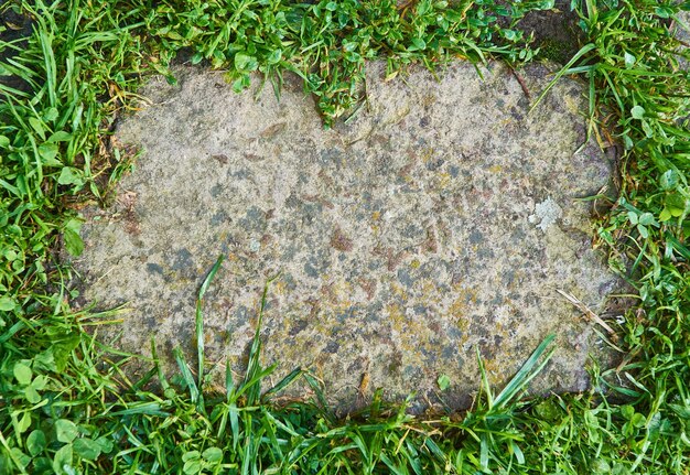 Natural frame paving stones surrounded by green grass