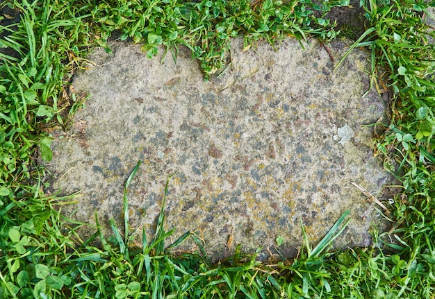 Natural frame paving stones surrounded by green grass