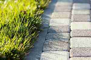 Free photo natural grass close up