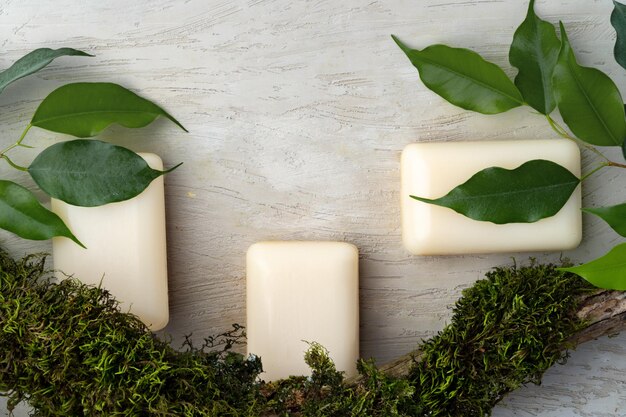 Natural handmade soap and plants on gray background