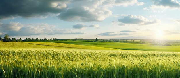 Natural landscape with green grass field of Golden ripe wheat AI generated image