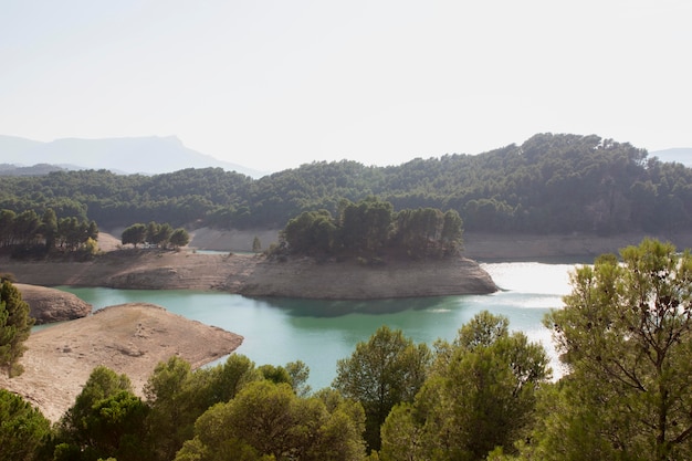 Foto gratuita paesaggio naturale con alberi verdi