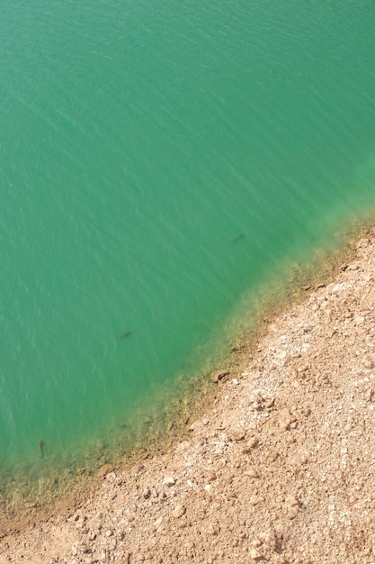 Foto gratuita paesaggio naturale con mare