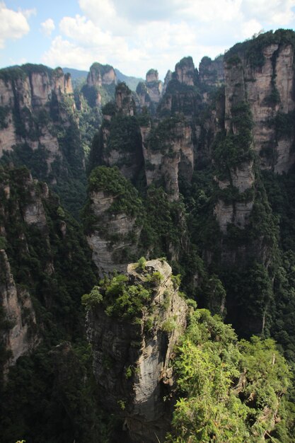 自然の風景