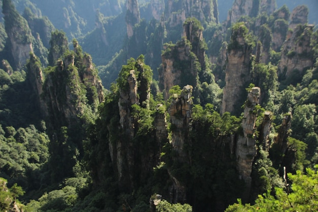 自然の風景