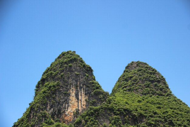 自然の風景