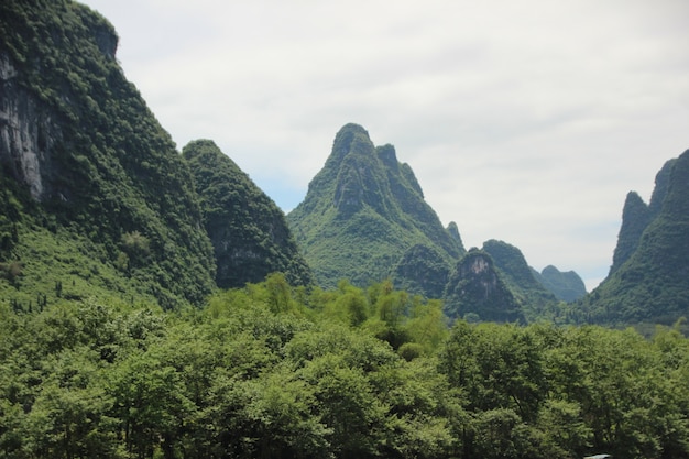 自然の風景