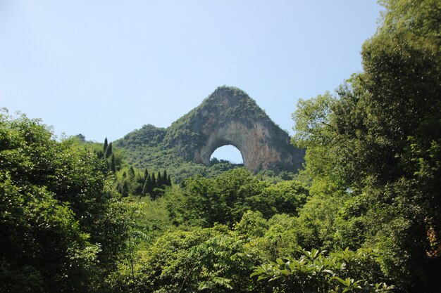 自然の風景