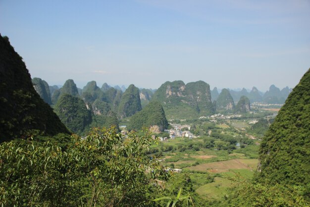 自然の風景