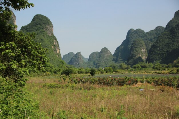 自然の風景