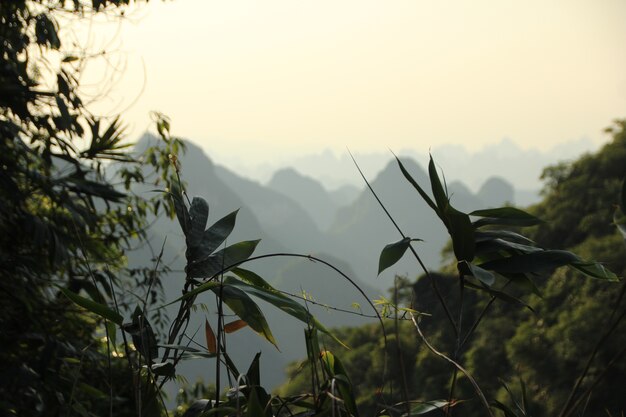 自然の風景