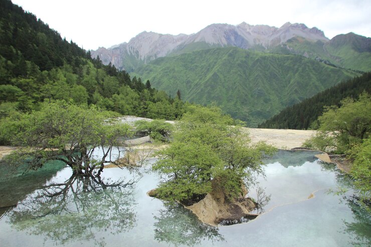 自然の風景