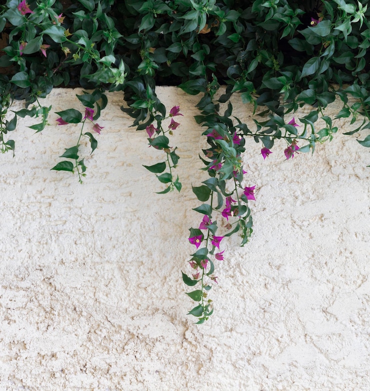 Free Photo natural leaves and copy space wall background