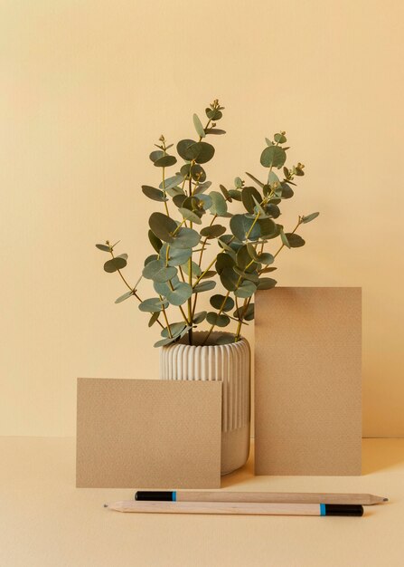 Natural material stationery arrangement