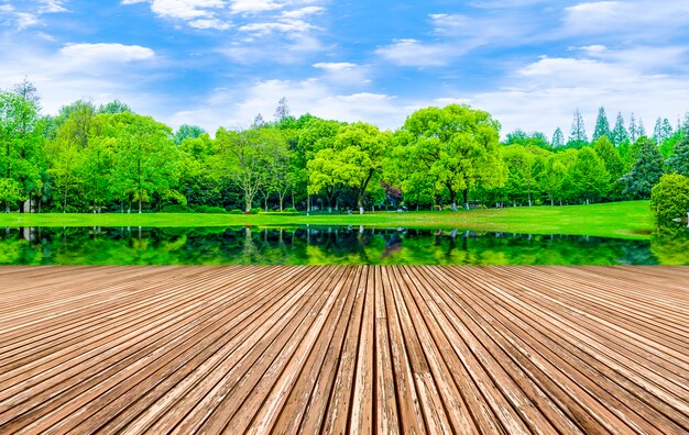 Foto gratuita paesaggi naturali prodotti foresta foresta sole