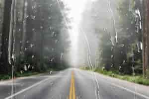 Free photo natural route through window with rain drops